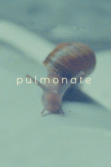 Pulmonate