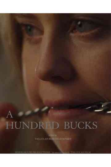 A Hundred Bucks Poster