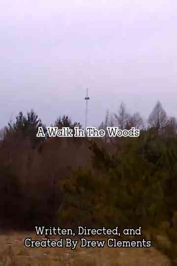 A Walk In The Woods Poster