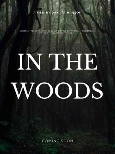 In The Woods Poster