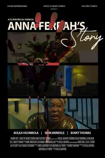 Anna Ferrah's Story Poster
