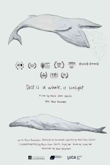 Dust is a Whale, is Sunlight Poster
