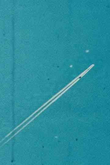 I Saw the Face of God in the Jet Wash Poster