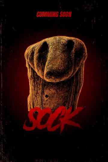 Sock Poster