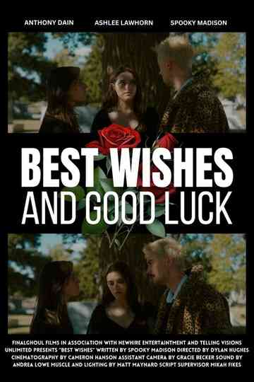 Best Wishes and Good Luck Poster