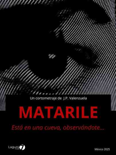 Matarile Poster