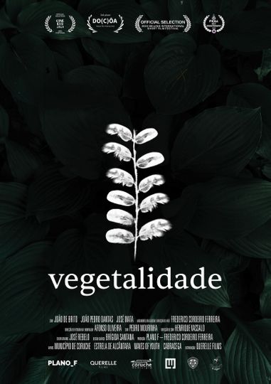 Vegetalidade