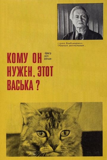 Who Needs This Vaska Anyway!