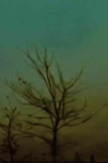 ONCE UPON A LOO Poster