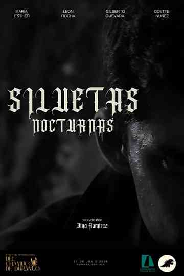 SILUETAS NOCTURNAS Poster