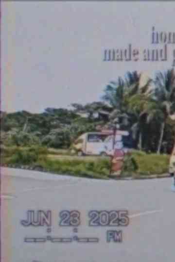 fleeting glimpse of disembodiment poster