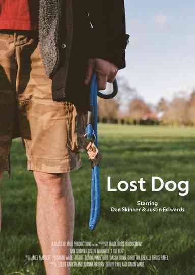 Lost Dog Poster