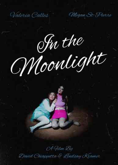in the moonlight Poster