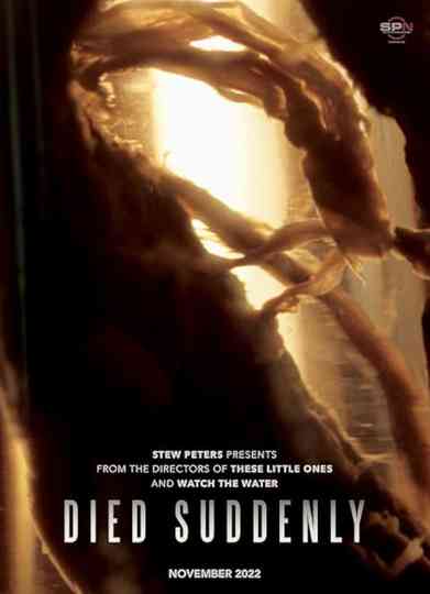Died Suddenly Poster