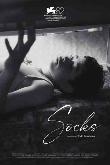 Socks Poster