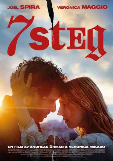 7 steg Poster
