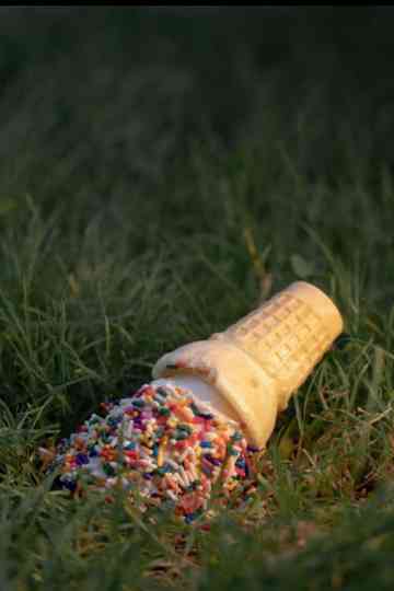 Veterans of Foreign Wars Poster