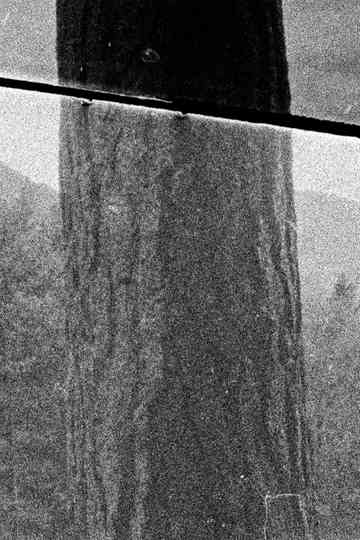 The wound edges Poster