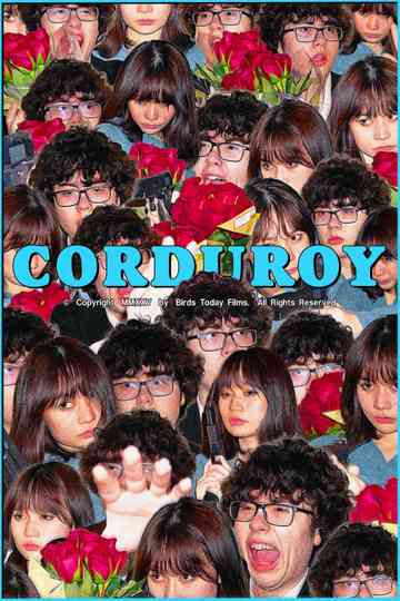 Corduroy Poster