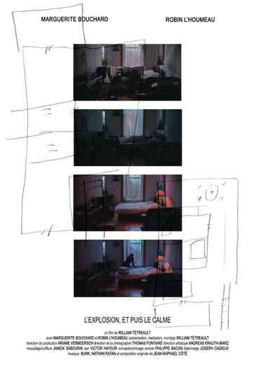 The explosion, then the calm Poster