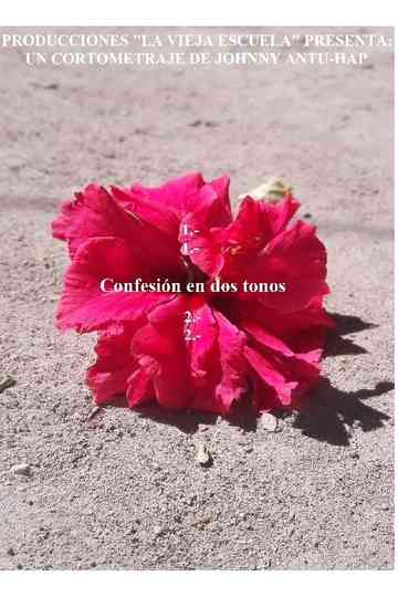 Confesión en dos tonos Poster