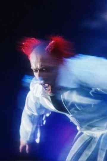 The Prodigy - Live at Pinkpop Festival 1996 Poster