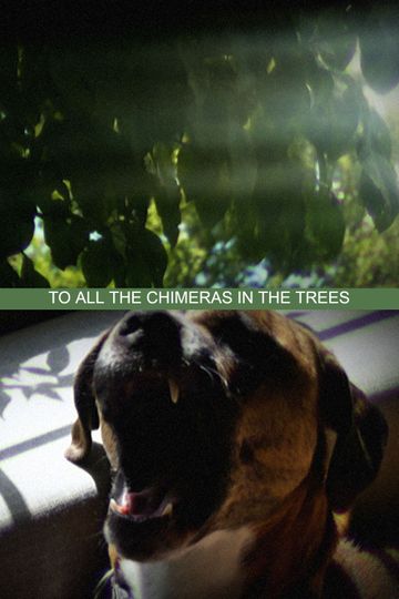 To All the Chimeras in the Trees