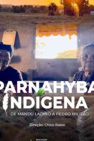Parnahyba Indígena Poster