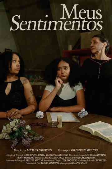 Meus Sentimentos Poster