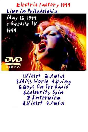 Hole: The Electric Factory Poster