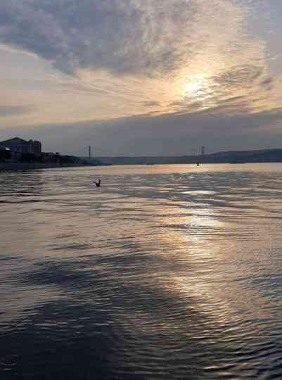 Bittersüßer Çay Poster