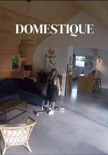 Domestique Poster