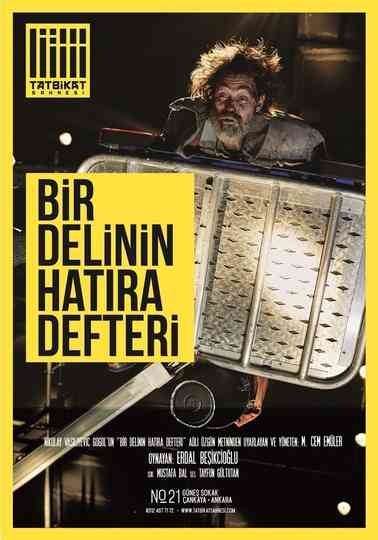 Bir Delinin Hatıra Defteri - Erdal Beşikçioğlu Poster