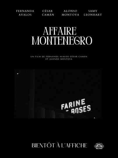 The Montenegro Affair Poster