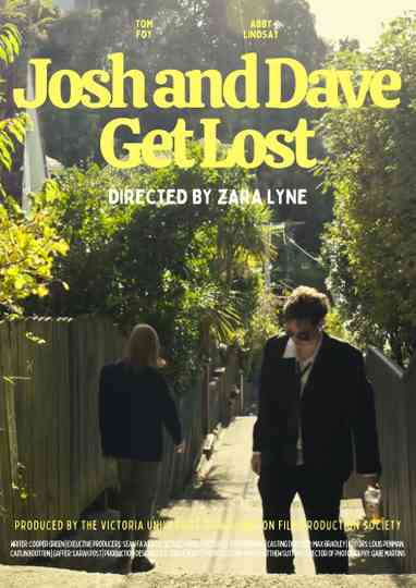 Josh and Dave Get Lost Poster