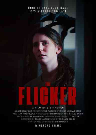 The Flicker Poster