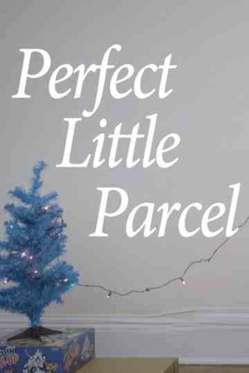 Perfect Little Parcel Poster