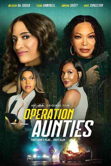 Operation: Aunties Poster