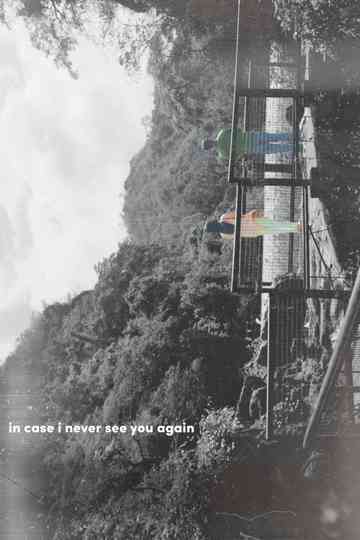 in case i never see you again Poster