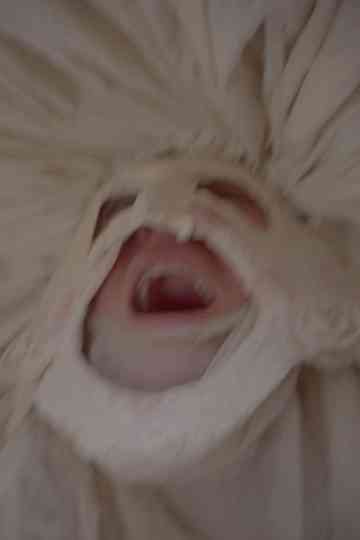 Le Roman de Remort, ou les fabliaux inhumains & vilains de l'Ultime Carnaval Poster