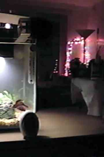 Space 11.16.22 poster