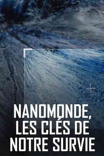 Nanoworld, the key to our survival Poster