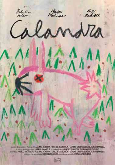 Calandra Poster