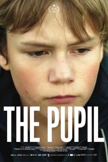 The Pupil Poster