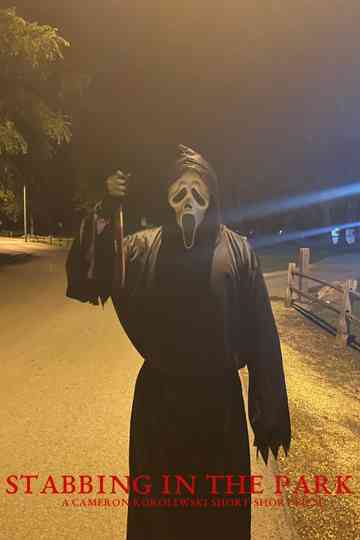 Stabbing in the park Poster