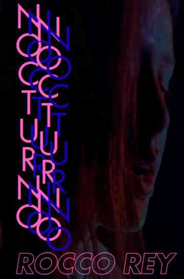 Trondheim Nocturno Poster