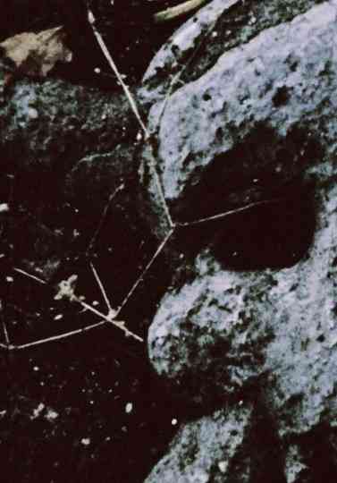 The Death Valley Is Good Poster