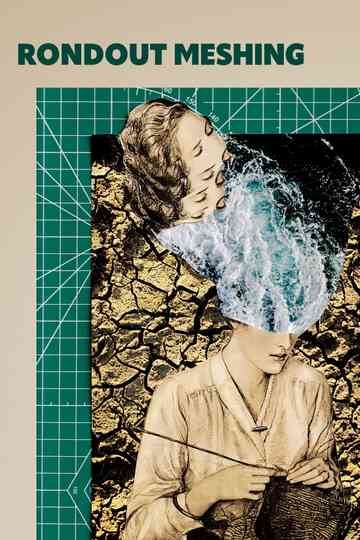 Rondout Meshing Poster