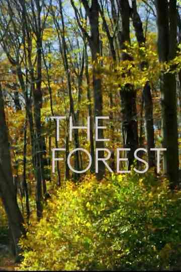 The Forest Poster