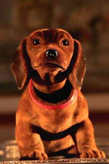 Sinfonie der Dumpfbacken Poster